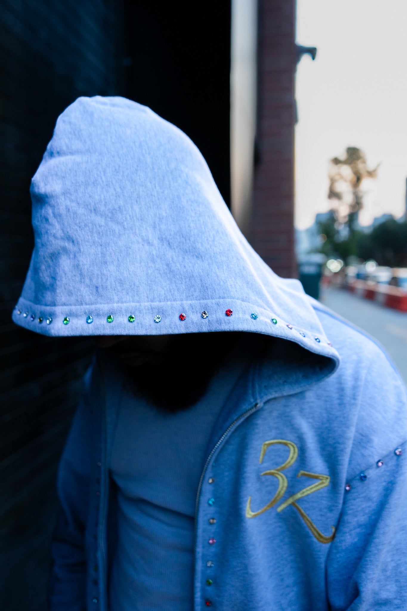 3z Embellished Zip Up - Gray